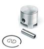 Airsal Piston kit (301-1018)