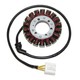 Stator Honda CBF1000F 06-12