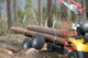 Ultratec Complete Timber trailer package (Timbertrailer+Winch+Crane+Log tong)