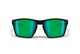 Bertoni Eyewear FULVIO 04 black/green