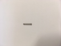 Mobius CCRS mechanism spring (1pcs)